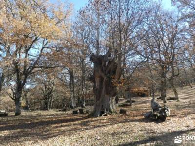 La Alberca, Sierra de Francia; rutas senderismo varios dias españa sightseeing experiencia senderism